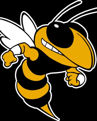 Georgia Tech Yellow Jackets vs. The Citadel Bulldogs