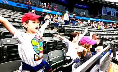 Myrtle Beach Pelicans