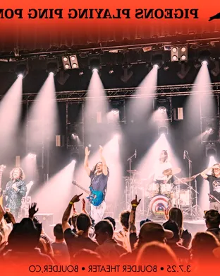 Pigeons Playing Ping Pong