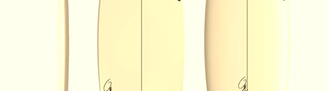 Twin Fin