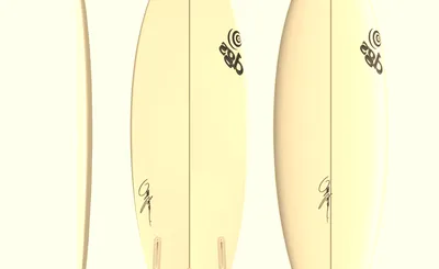 Twin Fin